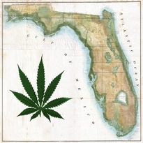 Florida -CREDIT & SOURCE TokeoftheTown.com Fair Use